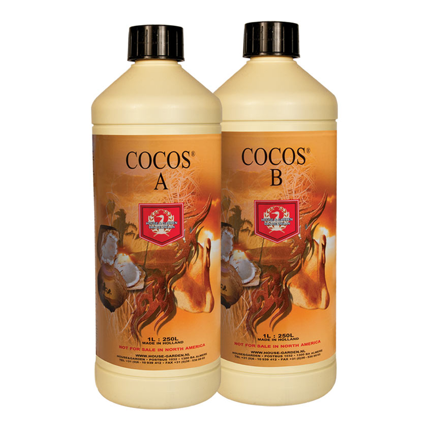 H&G COCOS A&B SET