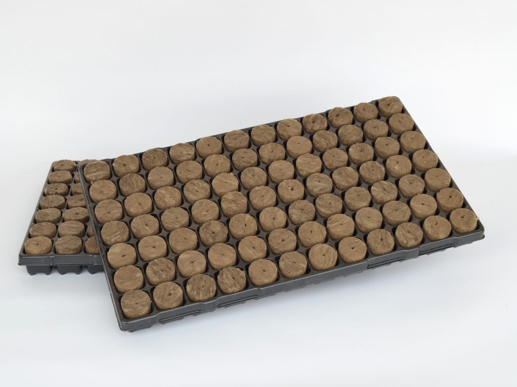 SPEEDGROW PROP 84 PLUG TRAY 38 X 40MM WITH HOLE