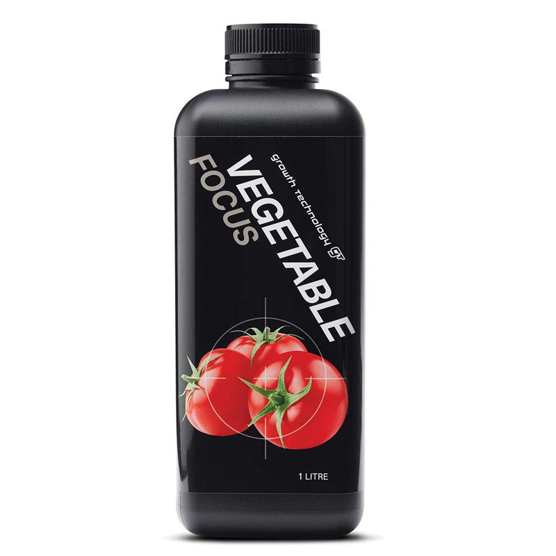 VEGETABLE FOCUS
