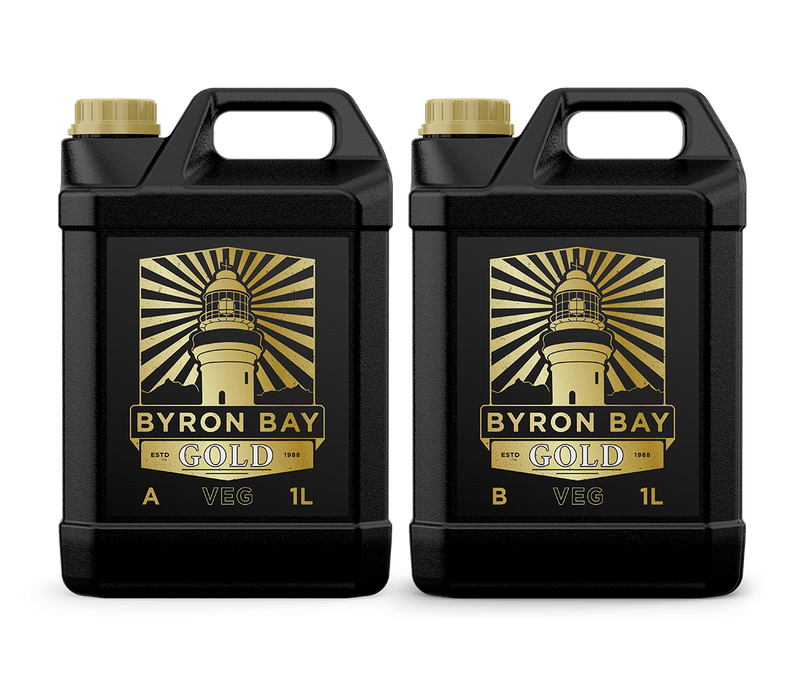 BYRON BAY GOLD VEGETATIVE A+B