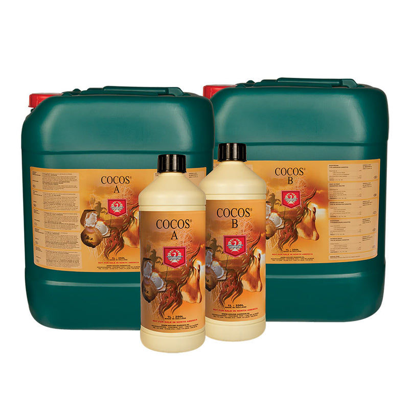 H&G COCOS A&B SET