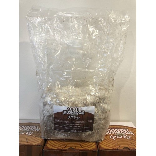 CO2 AUSSIE MUSHROOM BREATH BAG - 1300PPM FOR 6 MONTHS
