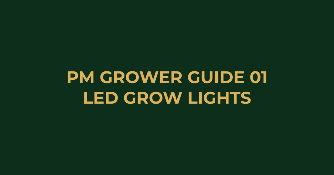 Professor Monstera Grower Guide 01: How to Pick the Best LED Grow Lights in Australia (2026 Guide)
