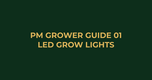 Professor Monstera Grower Guide 01: How to Pick the Best LED Grow Lights in Australia (2026 Guide)