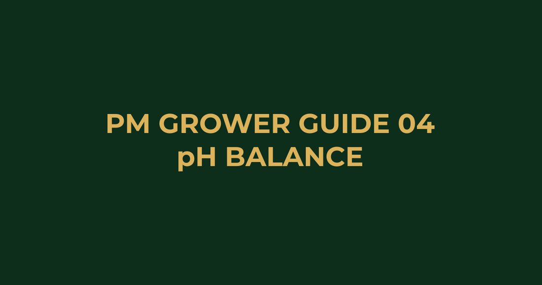 Professor Monstera Grower Guide 04: The Importance of pH in Hydroponics