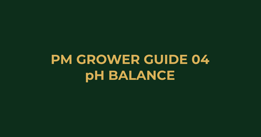 Professor Monstera Grower Guide 04: The Importance of pH in Hydroponics
