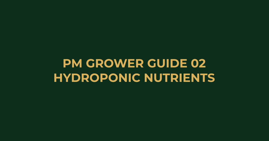 Professor Monstera Grower Guide 02: How to Choose the Best Hydroponic Nutrients in Australia