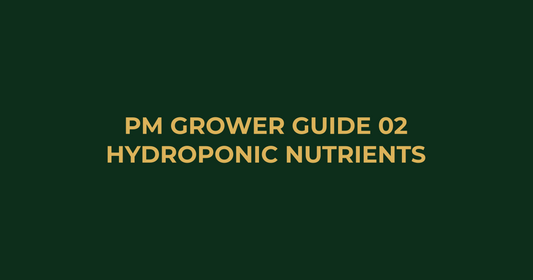 Professor Monstera Grower Guide 02: How to Choose the Best Hydroponic Nutrients in Australia