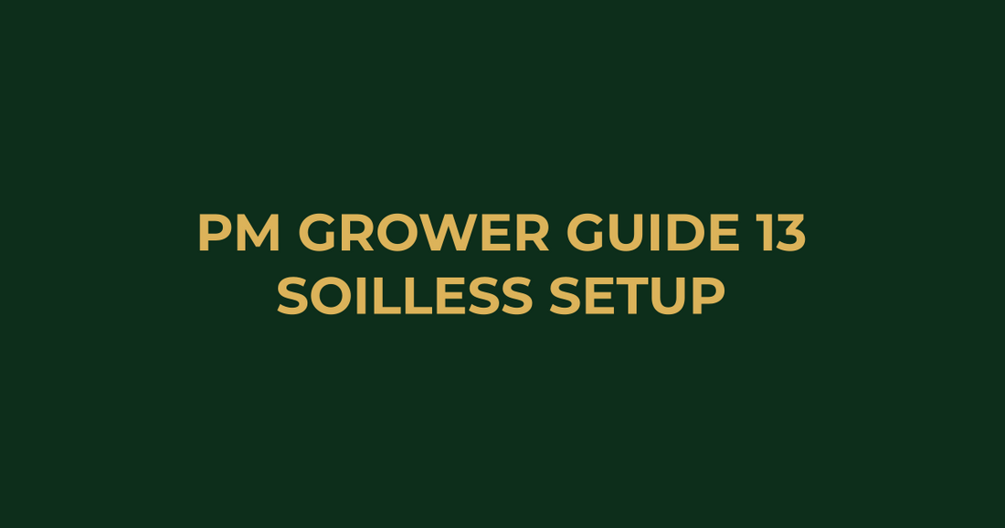 Professor Monstera Grower Guide 13: 5 Essentials for Your Soilless Grow Setup