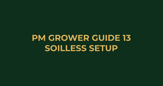 Professor Monstera Grower Guide 13: 5 Essentials for Your Soilless Grow Setup