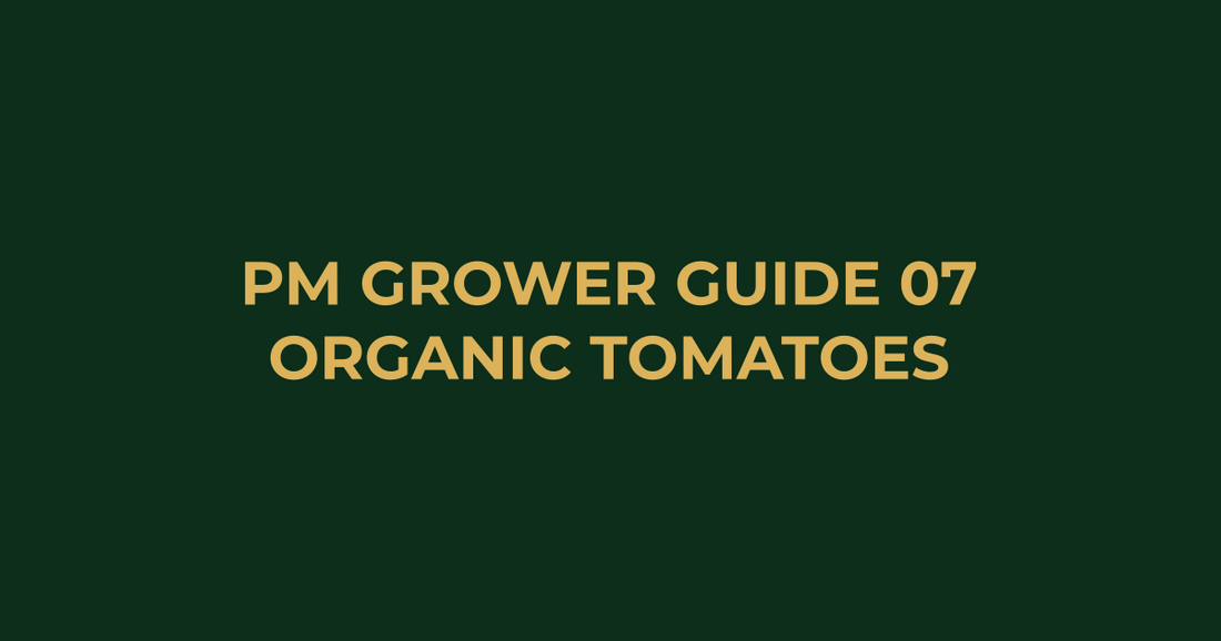 Professor Monstera Grower Guide 07: Best Organic Tomato Fertiliser Australia
