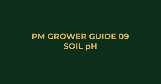 Professor Monstera Grower Guide 09: How to Measure and Fix Soil pH
