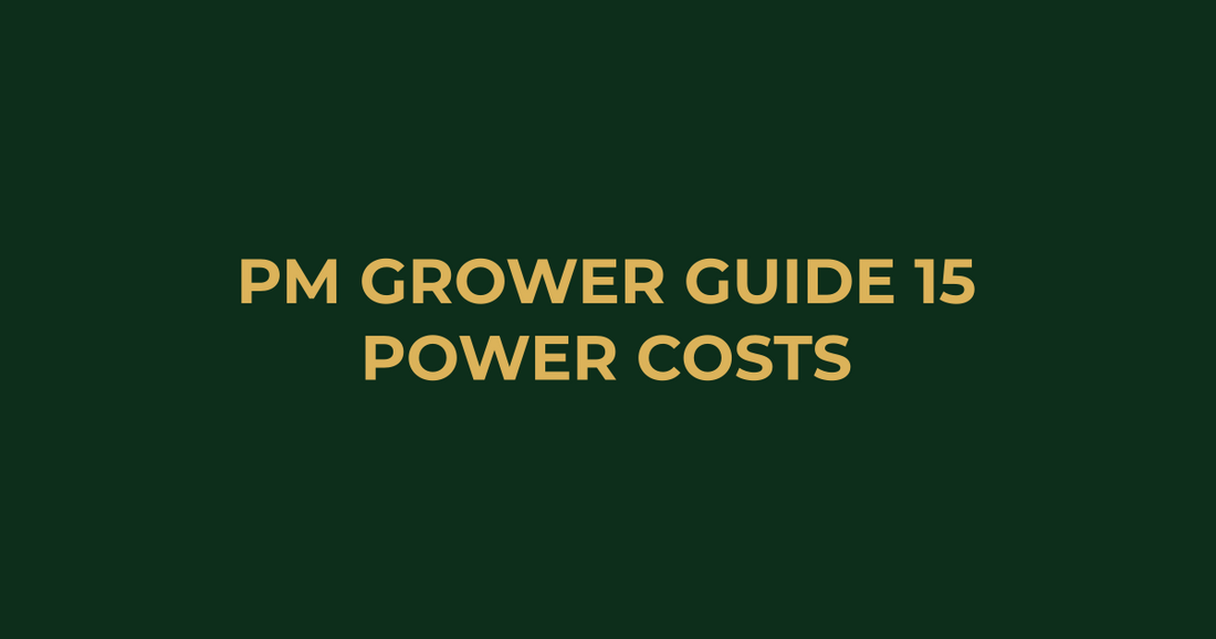 Professor Monstera Grower Guide 15: Grow Light Electricity Cost Calculator