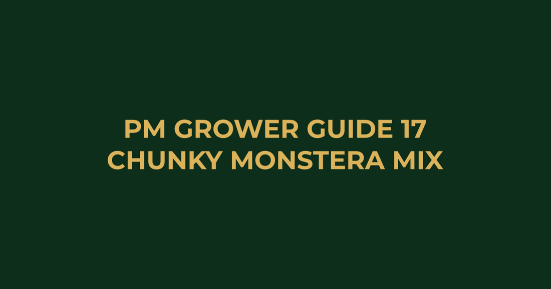 Professor Monstera Grower Guide 17: How to Mix the Perfect Chunky Soil for Monsteras and Alocasias