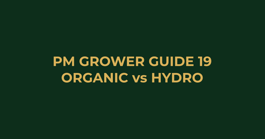 Professor Monstera Grower Guide 19: Organic vs Hydroponic: Which Growing Method Is Right for You?