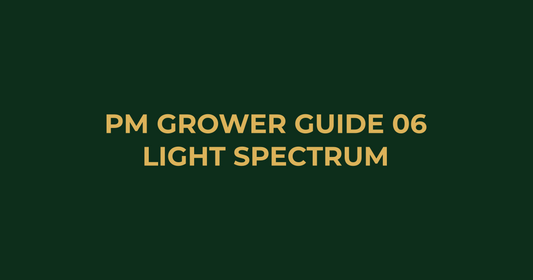 Professor Monstera Grower Guide 06: How Light Colour Affects Plant Growth
