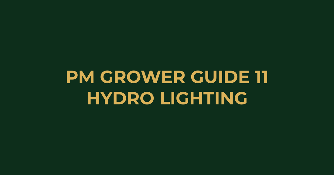 Professor Monstera Grower Guide 11: Best Hydroponic Lighting Solutions