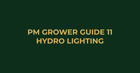 Professor Monstera Grower Guide 11: Best Hydroponic Lighting Solutions