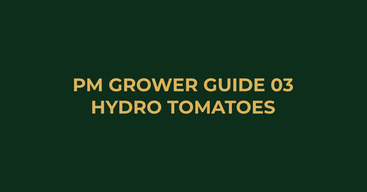 Professor Monstera Grower Guide 03: How to Grow Hydroponic Tomatoes for Huge Yields