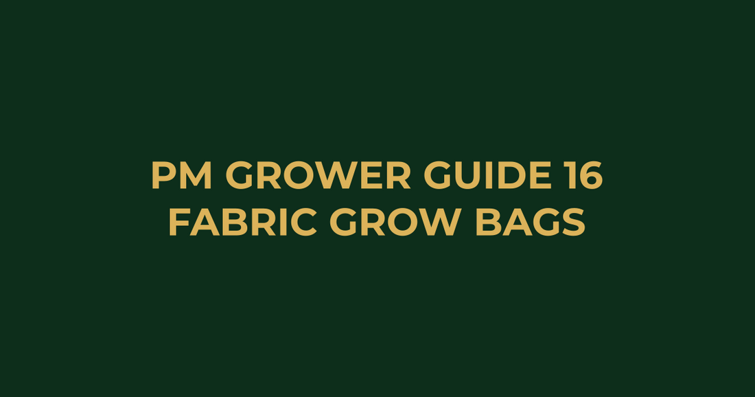 Professor Monstera Grower Guide 16: Best Fabric Grow Bags Australia
