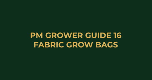 Professor Monstera Grower Guide 16: Best Fabric Grow Bags Australia