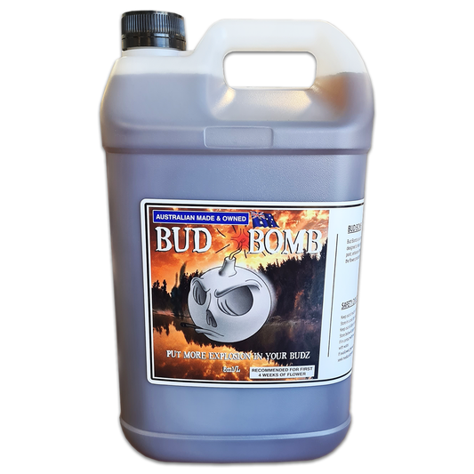 BUD BOMB DUTCHFEST FIVE LITRE