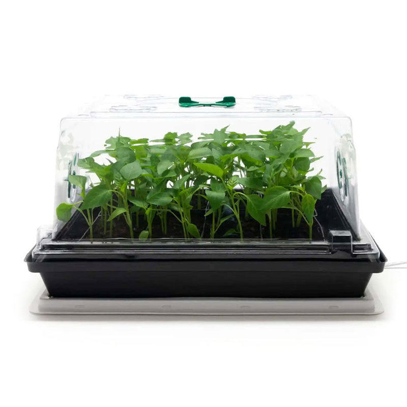 HEAT N GROW PROPAGATION SET 3 PART LID LATTICE CATCHMENT