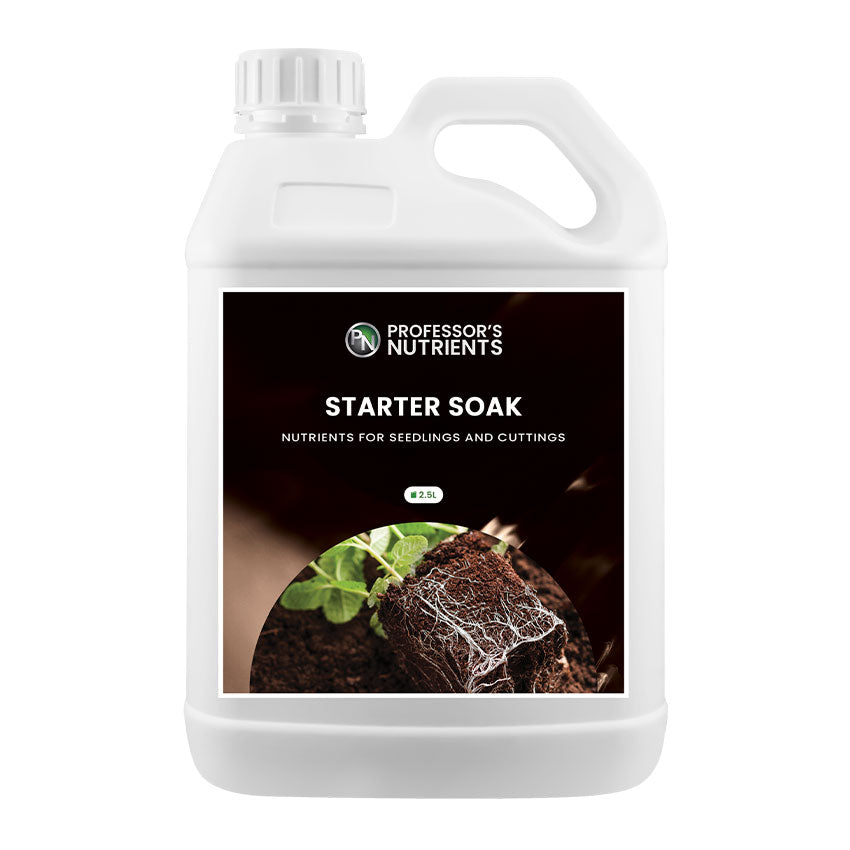 PROFESSOR'S STARTER SOAK