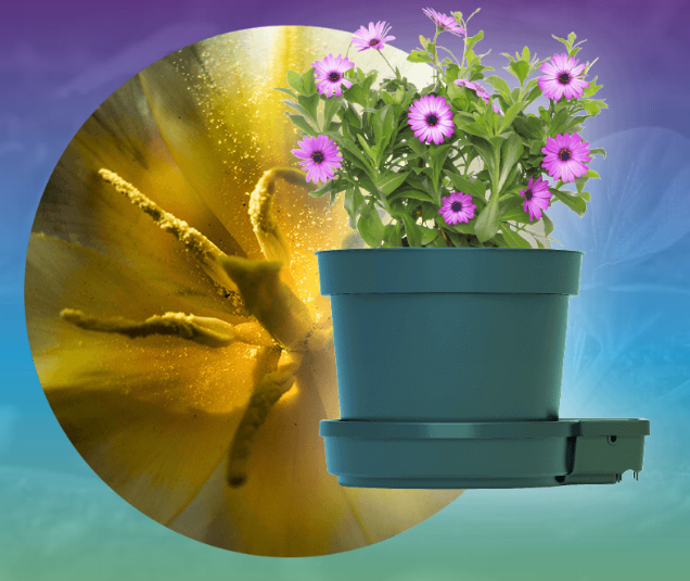 GOGRO TWENTY-FIVE LITRE MODULE