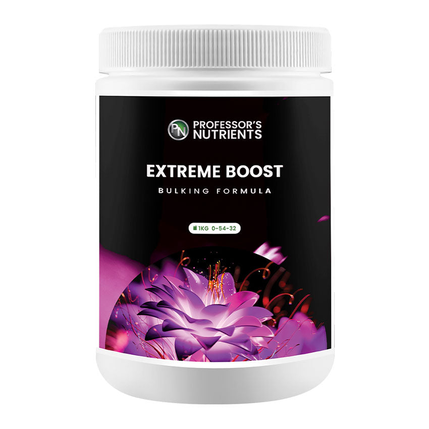 PROFESSOR'S EXTREME BOOST