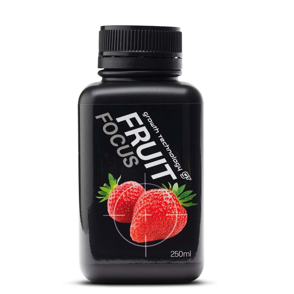 FRUIT FOCUS