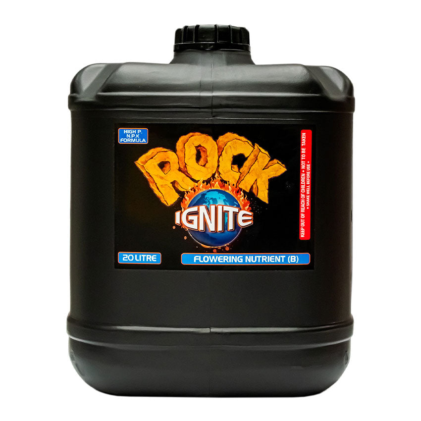 ROCK IGNITE BLOOM A + B