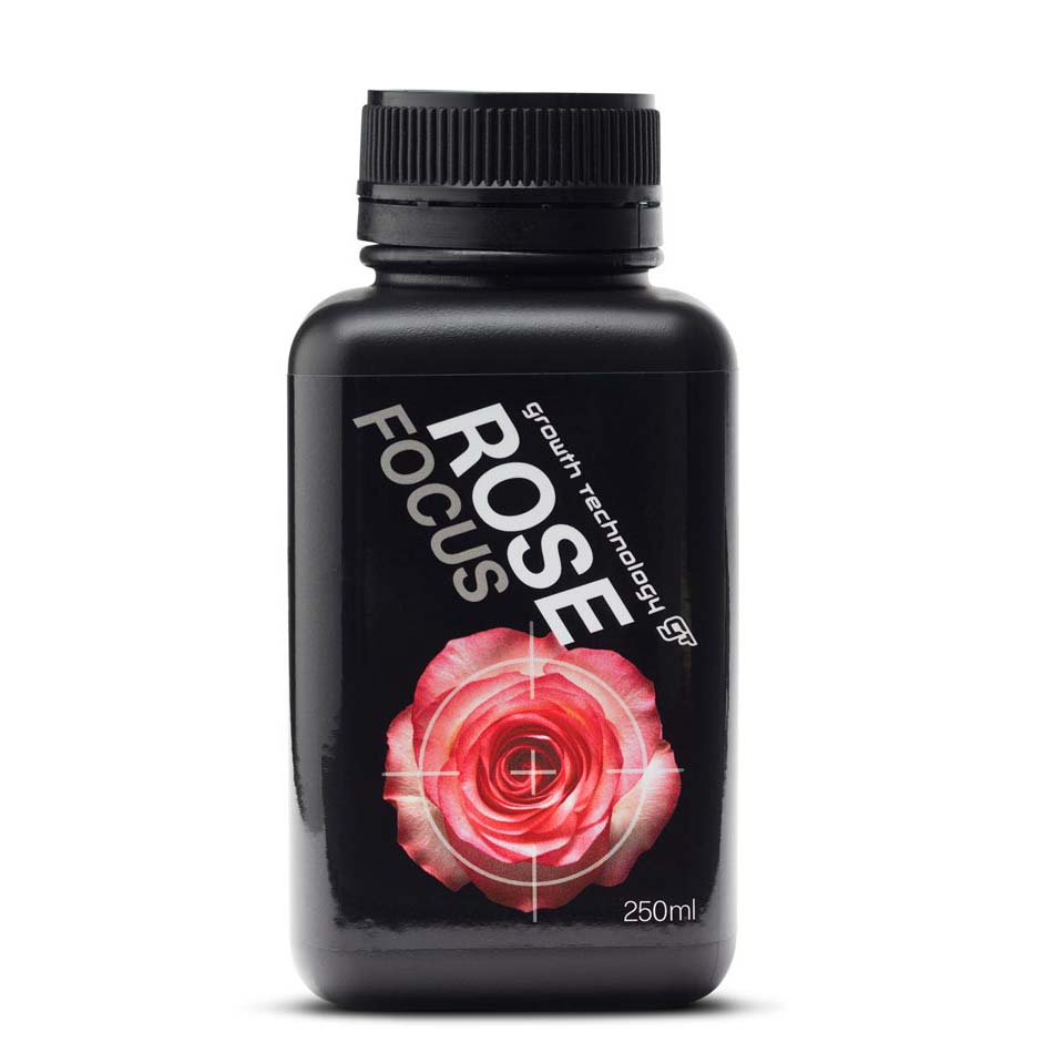 ROSE FOCUS