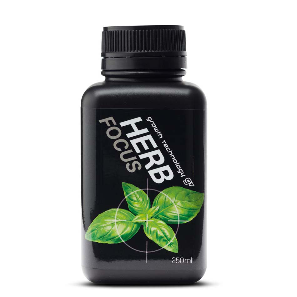 HERB FOCUS