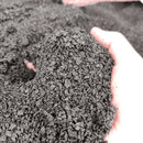 BIOCHAR ACTIVE 2 LITRE