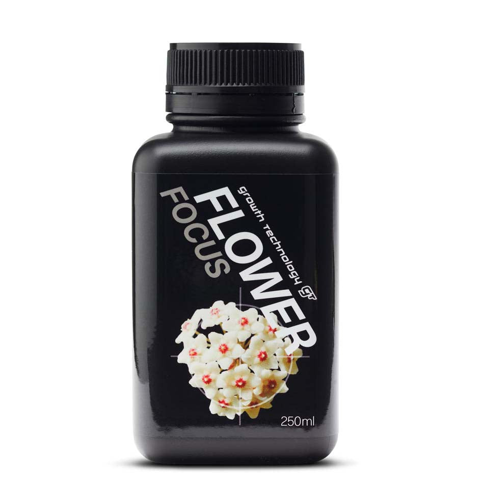 FLOWER FOCUS