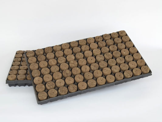 SPEEDGROW PROP 84 PLUG TRAY 38 X 40MM WITH HOLE