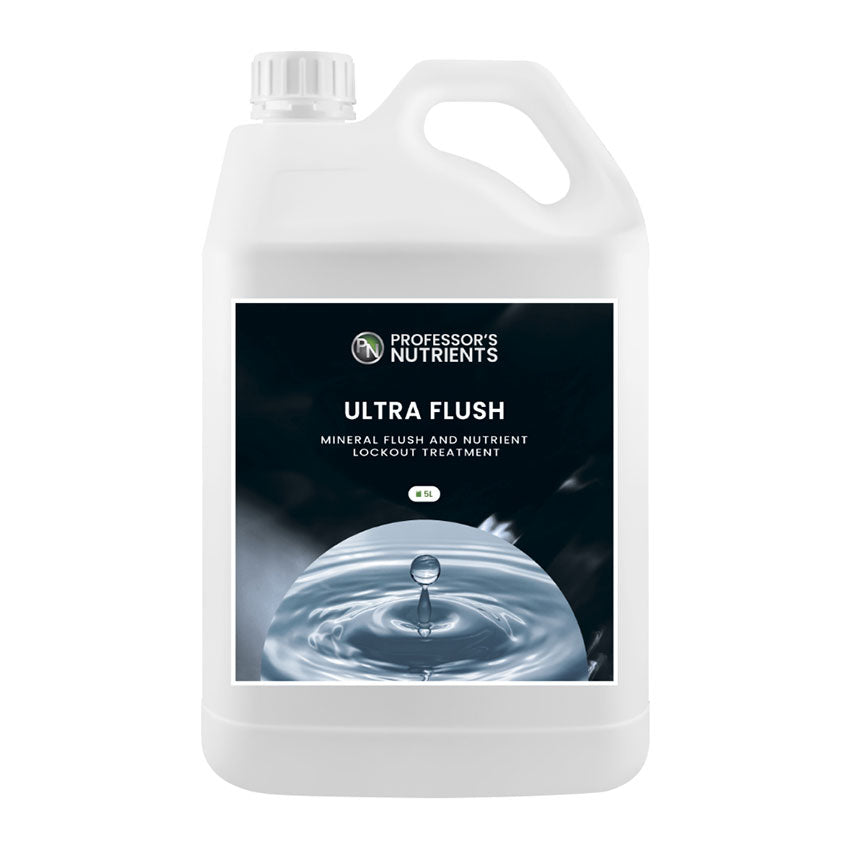 PROFESSOR'S ULTRA FLUSH