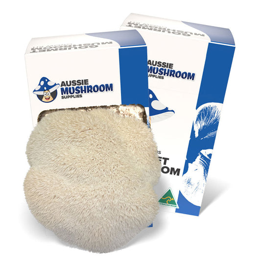 LIONS MANE AUSSIE MUSHROOM KIT