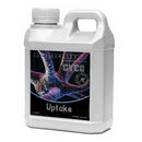 CYCO UPTAKE