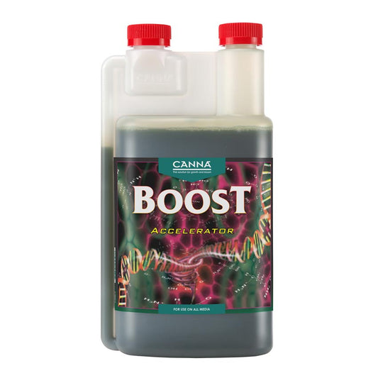 CANNA BOOST ACCELERATOR