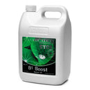CYCO B1 BOOST