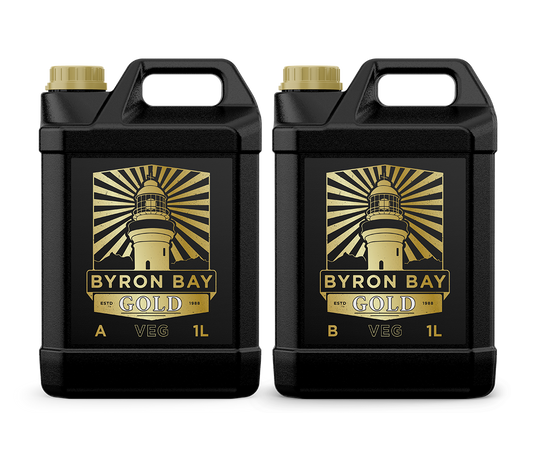 BYRON BAY GOLD VEGETATIVE A+B