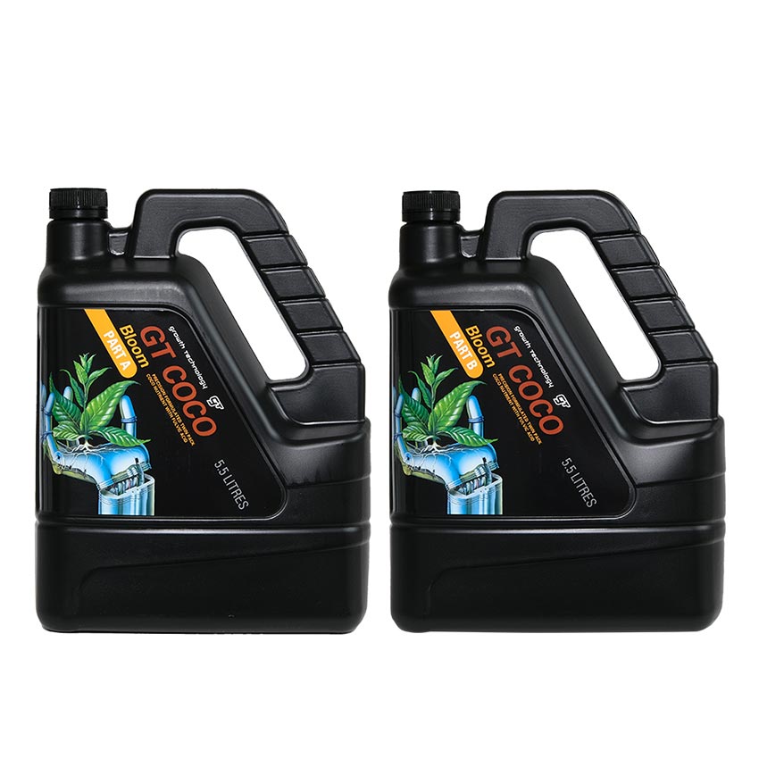 GT COCO BLOOM A & B