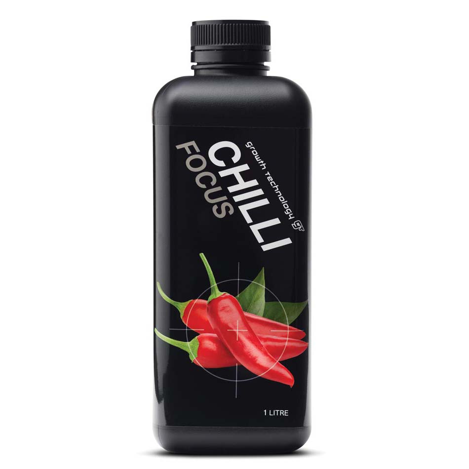 CHILLI FOCUS – Professor Monstera Plants