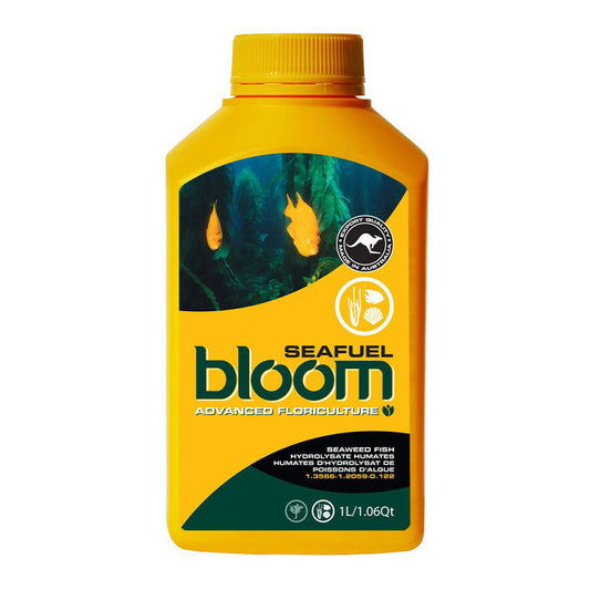 BLOOM SEAFUEL