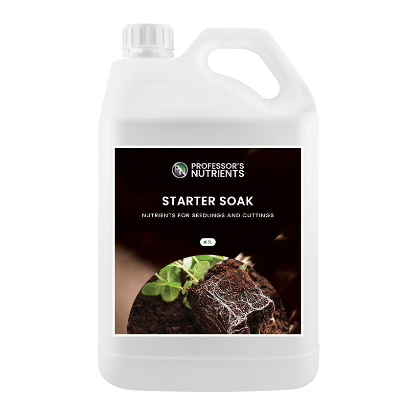 PROFESSOR'S STARTER SOAK