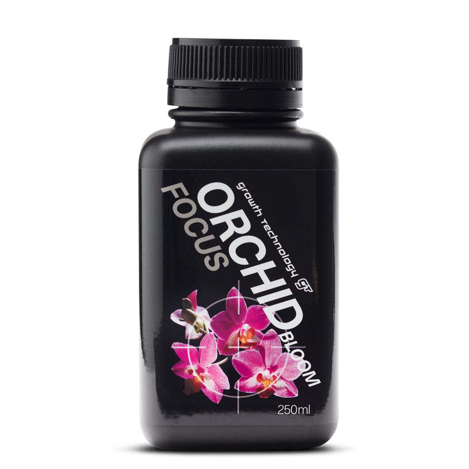 ORCHID FOCUS BLOOM