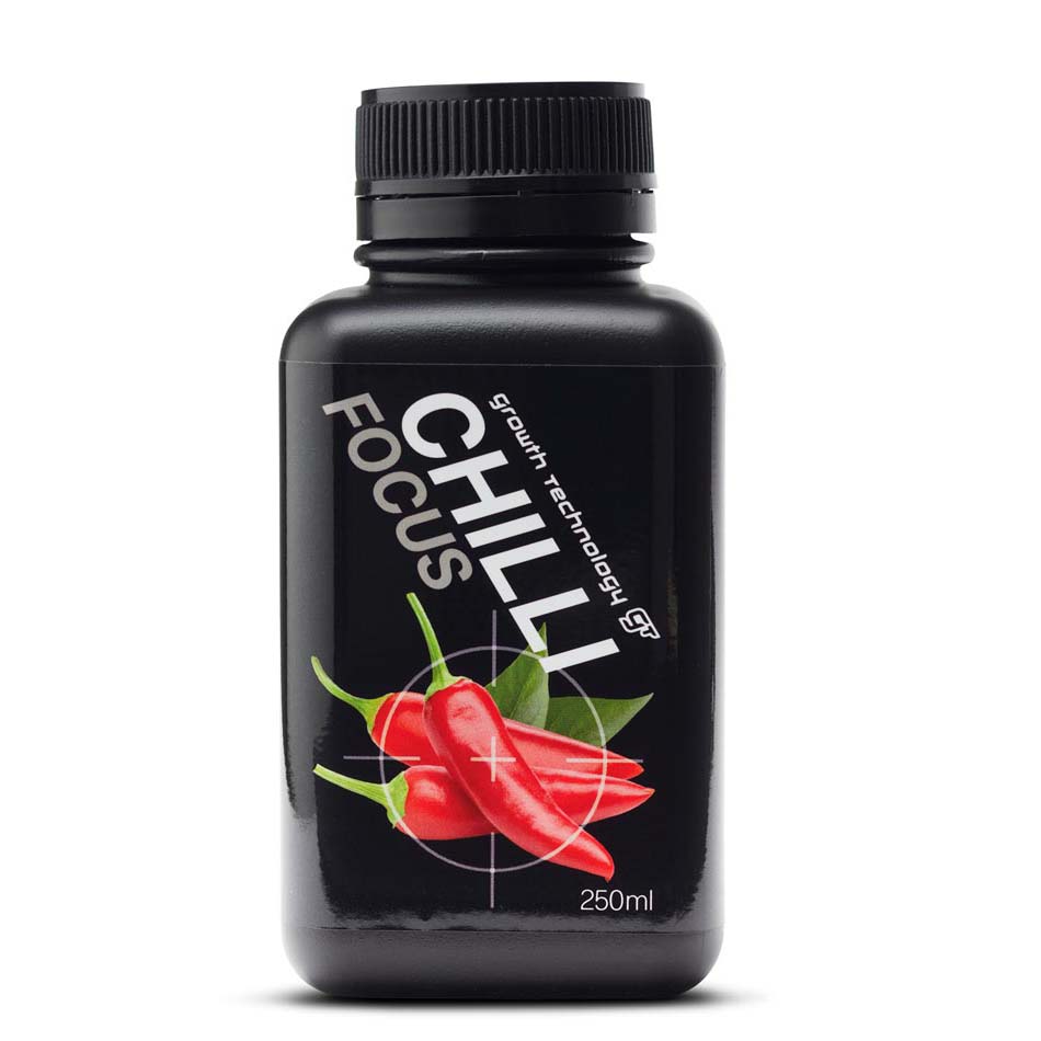CHILLI FOCUS