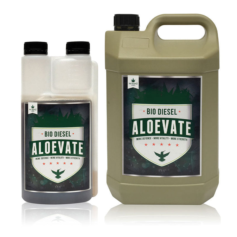 BIO DIESEL ALOEVATE